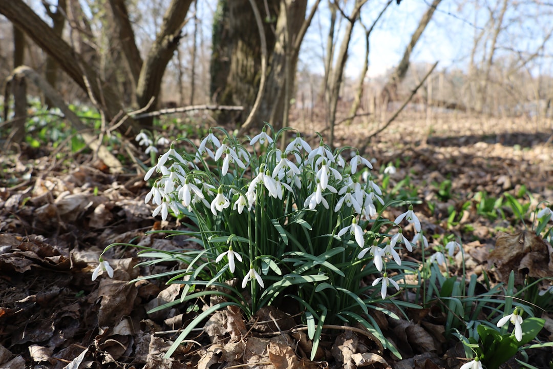 erstellen sie eine professionelle und überzeugende lebenslauf-unterschrift, die ihre bewerbung hervorhebt und vertrauen vermittelt.